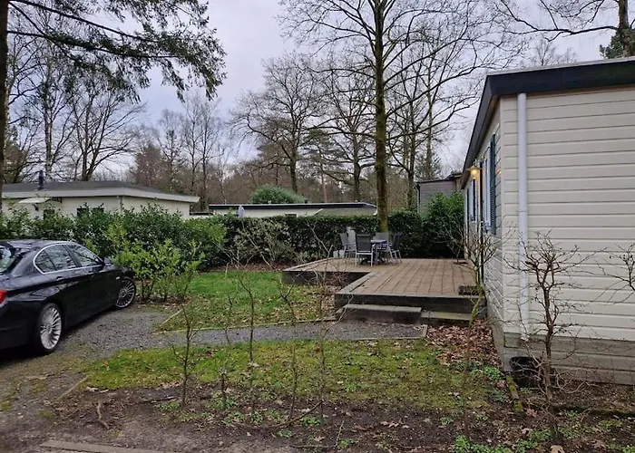 Dağ evi 6 Persoons Op De Veluwe Bij Binnen En Buiten Zwembad