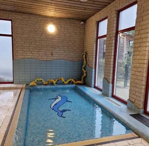 6 Persoons Op De Veluwe Bij Binnen En Buiten Zwembad *