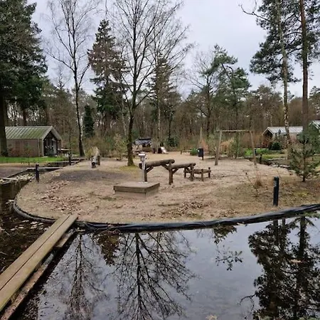 6 Persoons Op De Veluwe Bij Binnen En Buiten Zwembad 木屋