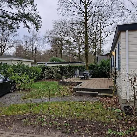 شاليه 6 Persoons Op De Veluwe Bij Binnen En Buiten Zwembad