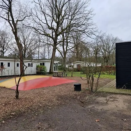 6 Persoons Op De Veluwe Bij Binnen En Buiten Zwembad *